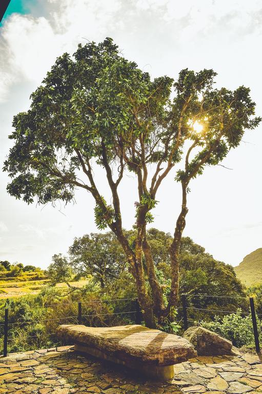 Mountain Villa Riverston Matale Eksteriør billede